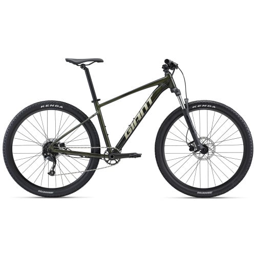 GIANT Talon 2 29" 9G dydis 19" (49cm) (žalia) Kalnų (MTB)